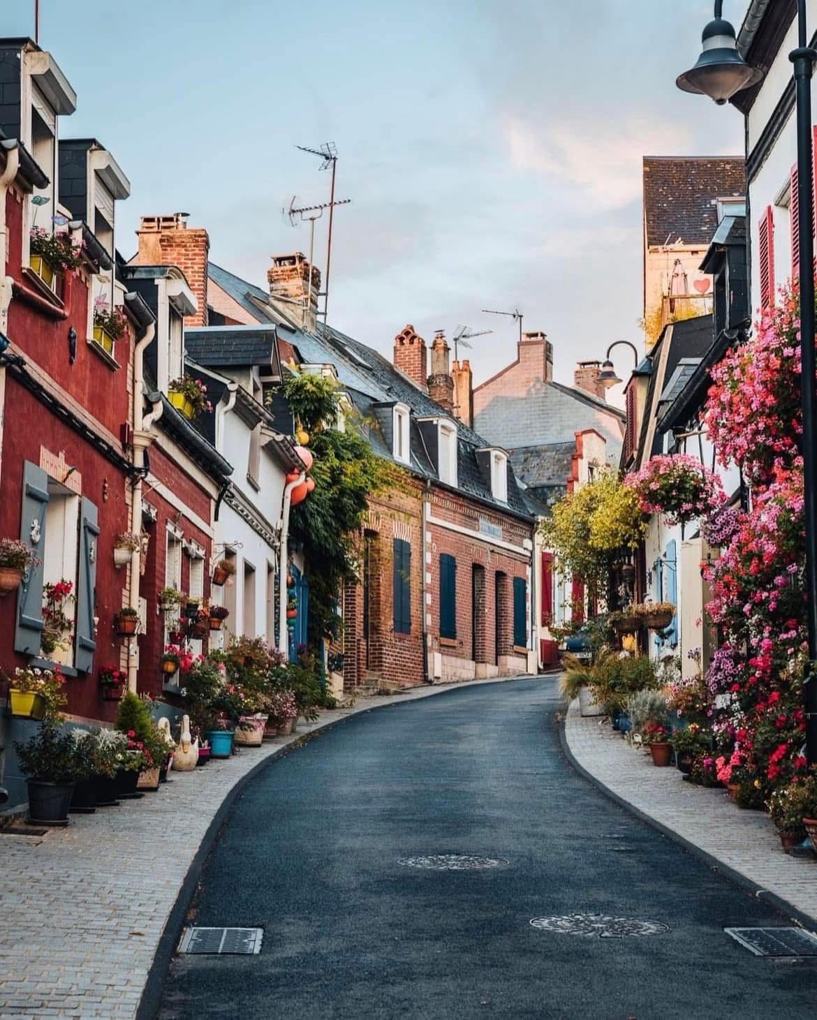 Baie de Somme ( Le Crotoy + Saint-Valérie ) - Samedi 11 juillet – Image 4