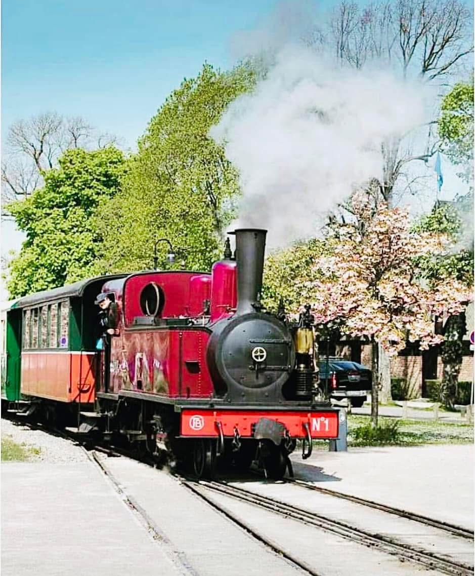 Baie de Somme ( Le Crotoy + Saint-Valérie ) - Samedi 11 juillet – Image 3