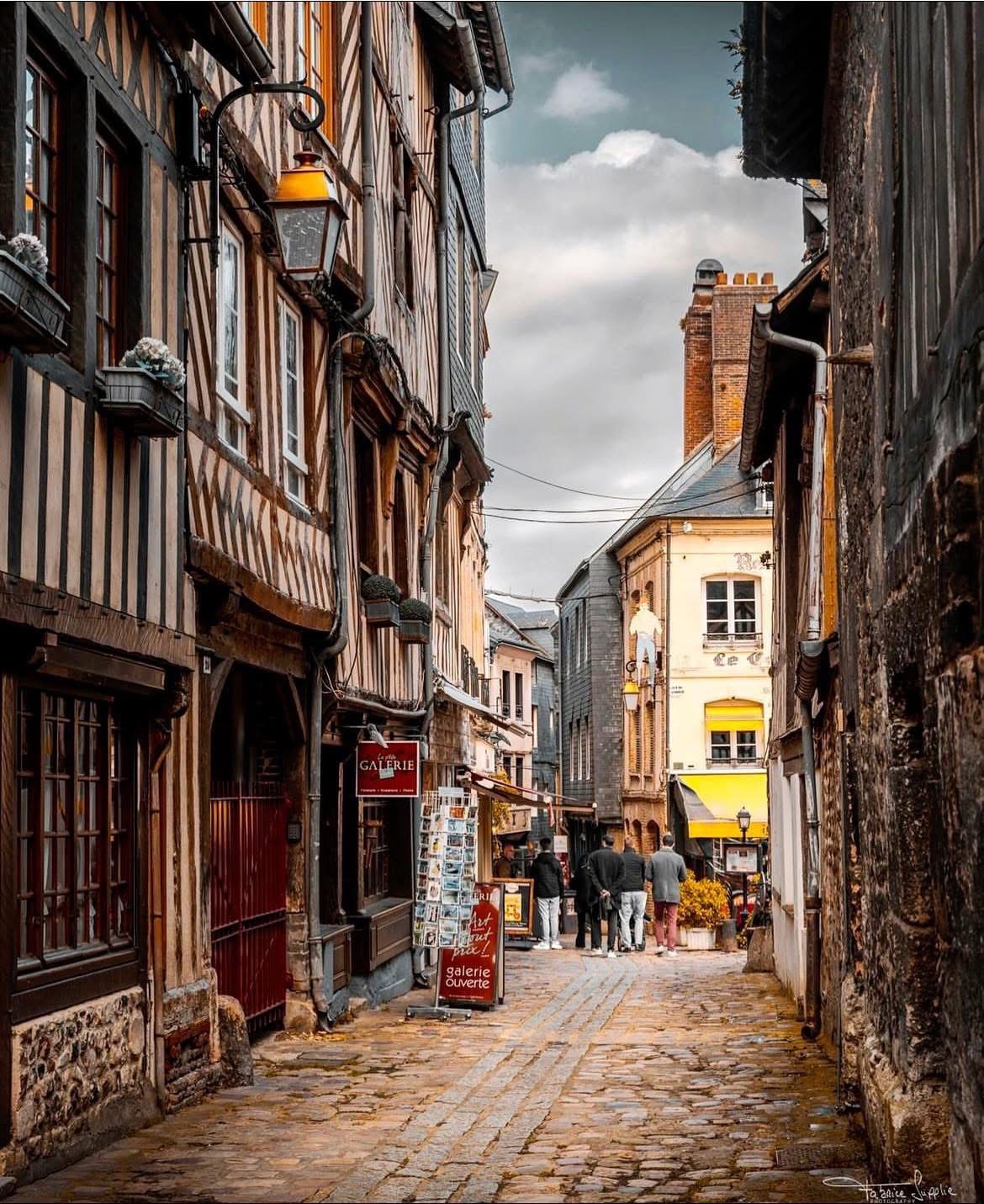 Journée libre à Honfleur - Samedi 18 juillet – Image 5